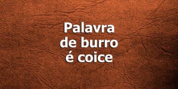 melhores Provérbios sobre palavras
