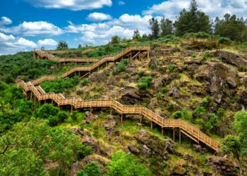 Os Passadiços do Mondego oferecem uma beleza colossal