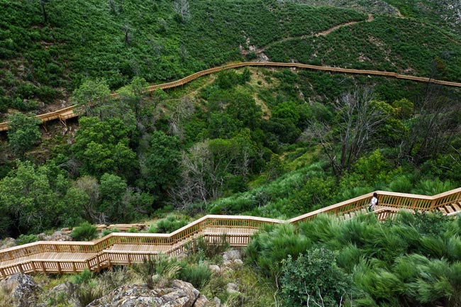 Os Passadiços do Mondego oferecem uma beleza colossal Passadiços do Mondego