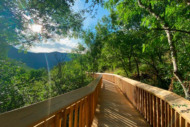 Os Passadiços do Mondego oferecem uma beleza colossal Passadiços do Mondego