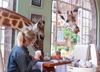 Portugal tem um dos hotéis mais estranhos do mundo