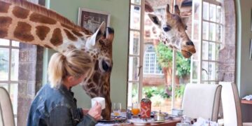 Portugal tem um dos hotéis mais estranhos do mundo