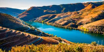 Vale do Douro