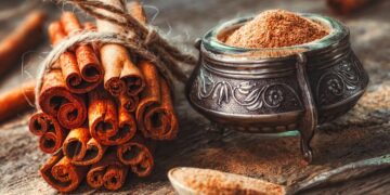 coisas incríveis que Portugal deu ao mundo