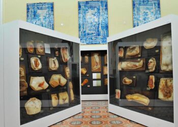 museus estranhos e desconhecidos de Lisboa