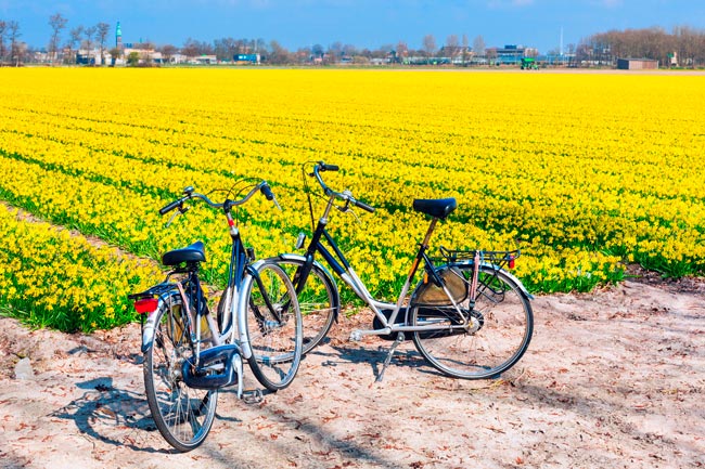 18 ciclovias e ecopistas para explorar Portugal de bicicleta ciclovias e ecopistas para explorar Portugal de bicicleta