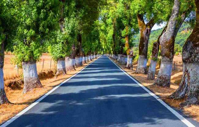 melhores e mais belas estradas de Portugal