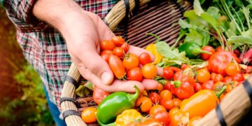vegetais não devem ser comidos crus