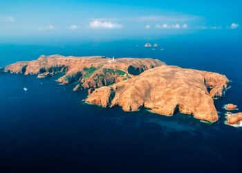 Visitar as Berlengas