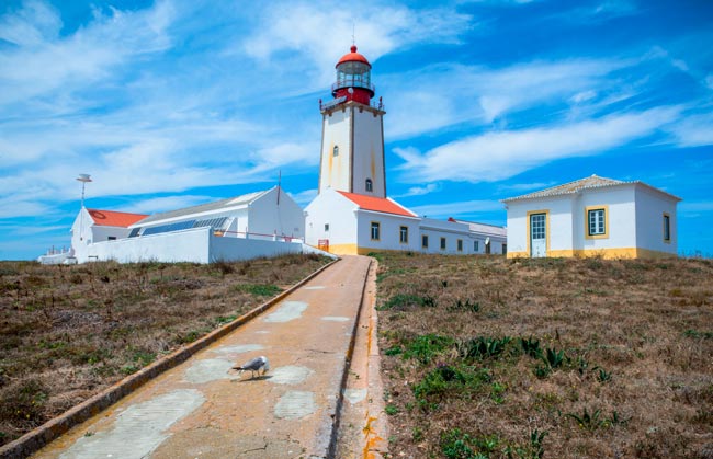 Visitar as Berlengas 