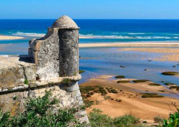 Parque Natural da Ria Formosa