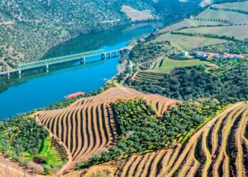 Miradouro de São Salvador do Mundo
