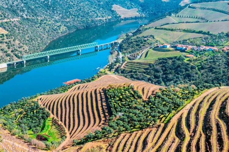 Miradouro de São Salvador do Mundo