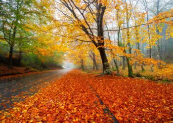 lugares mais bonitos para visitar no outono