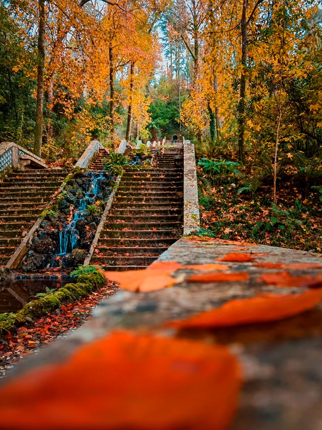 10 dos lugares mais bonitos para visitar no outono lugares mais bonitos para visitar no outono
