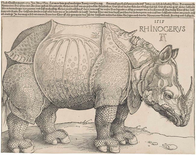 história do Rinoceronte de Lisboa