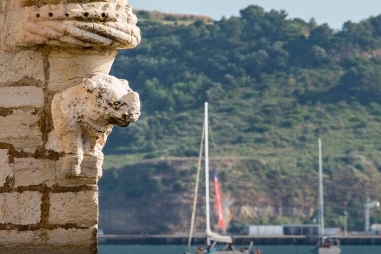 A incrível história do Rinoceronte de Lisboa história do Rinoceronte de Lisboa