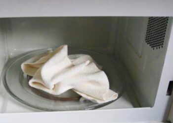 pano de cozinha no micro-ondas