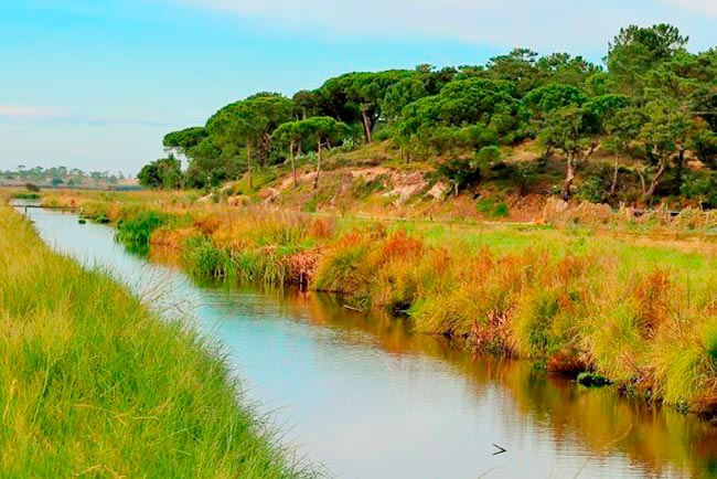 7 locais extraordinários para descobrir no Alentejo locais extraordinários para descobrir no Alentejo