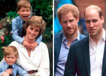 coisas que William e Harry herdaram da mãe