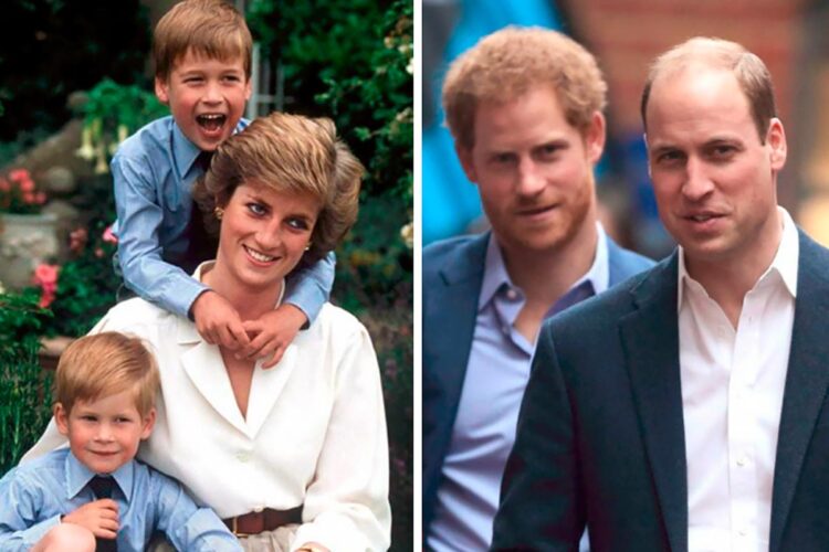 coisas que William e Harry herdaram da mãe
