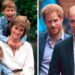 coisas que William e Harry herdaram da mãe