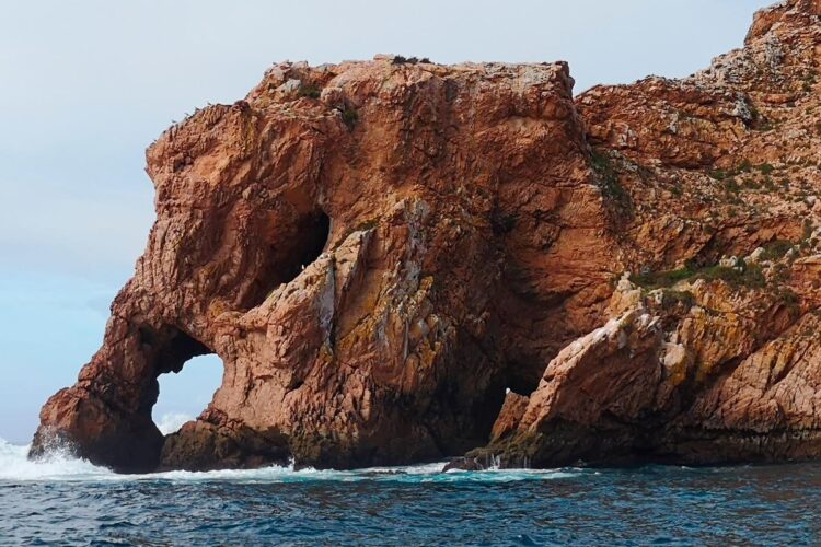 Acontecimentos na natureza que nos podem deixar de boca aberta.