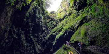 Algar do Carvão