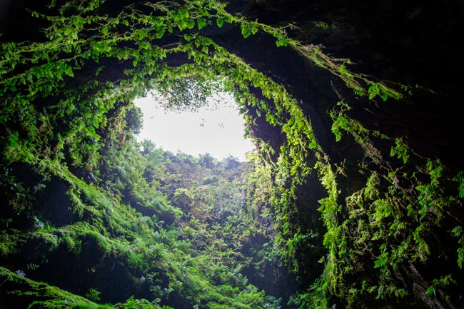 Algar do Carvão, nas entranhas de um vulcão nos Açores Algar do Carvão