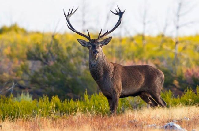 8 paraísos para descobrir em Trás-os-Montes paraísos para descobrir em Trás-os-Montes