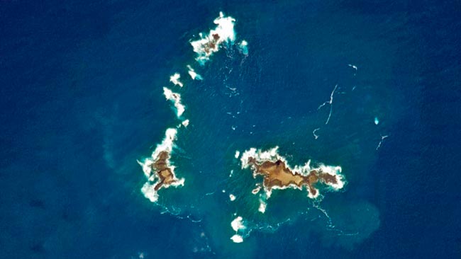 Ilhas Selvagens, uma das maiores áreas protegidas do mundo fica na Madeira Ilhas Selvagens