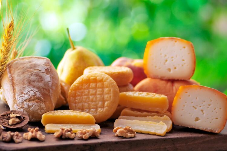 10 dos melhores queijos de Portugal melhores queijos de Portugal