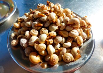 pratos típicos de Lisboa