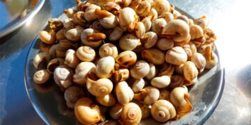 pratos típicos de Lisboa