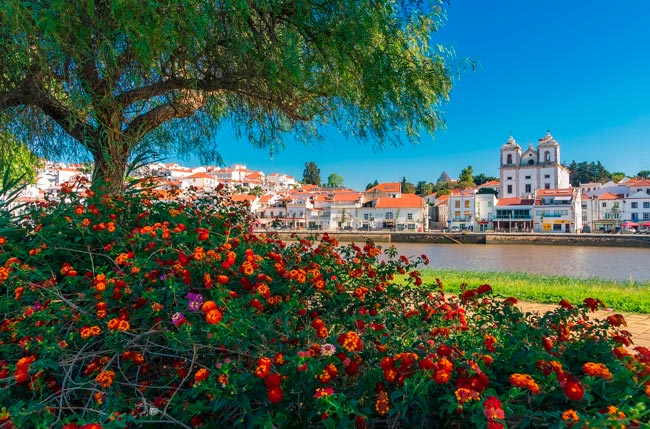 A grande conquista de Afonso II aos muçulmanos no Alentejo Afonso II