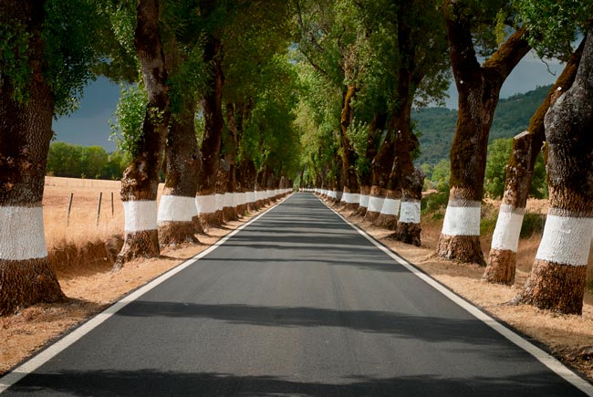 A vila que D. Afonso Henriques conquistou aos muçulmanos no Alentejo D. Afonso Henriques conquistou aos muçulmanos