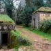 Mata do Bussaco