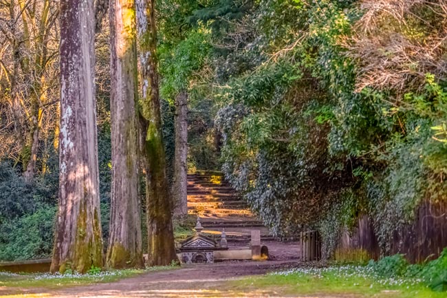Mata do Bussaco, um destino misterioso no Centro de Portugal Mata do Bussaco