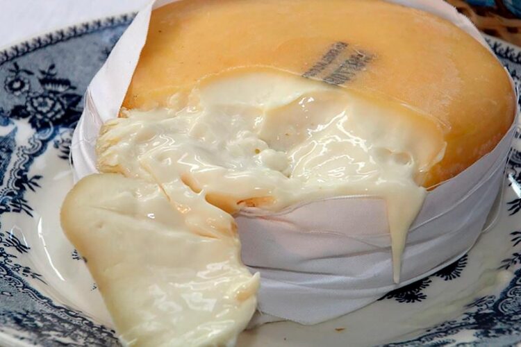 Queijo Serra da Estrela, um queijo com alma Queijo Serra da Estrela