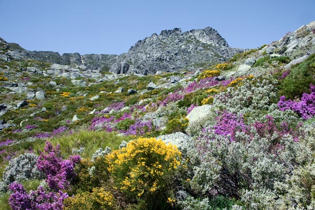 5 trilhos para descobrir e explorar a Serra da Estrela trilhos para descobrir e explorar a Serra da Estrela