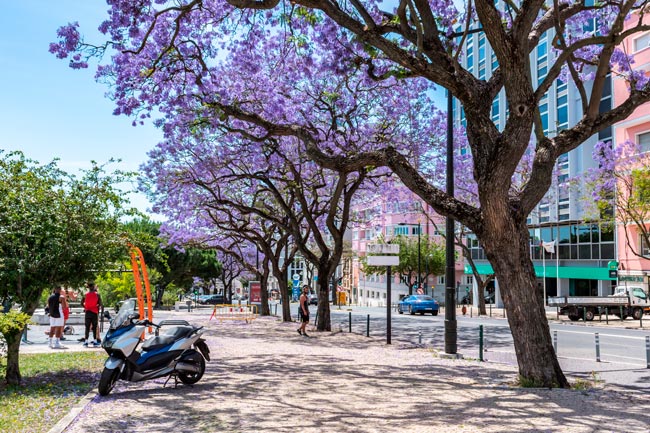 Os melhores locais a visitar para descobrir a essência de Lisboa descobrir a essência de Lisboa