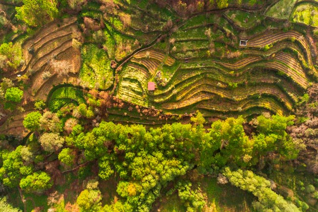 Fataunços: A aldeia com ocupação desde a pré-história no Centro de Portugal aldeia com ocupação desde a pré-história
