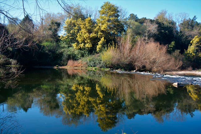 Macinhata do Vouga: A aldeia para sempre ligada ao comboio no Centro de Portugal aldeia para sempre ligada ao comboio