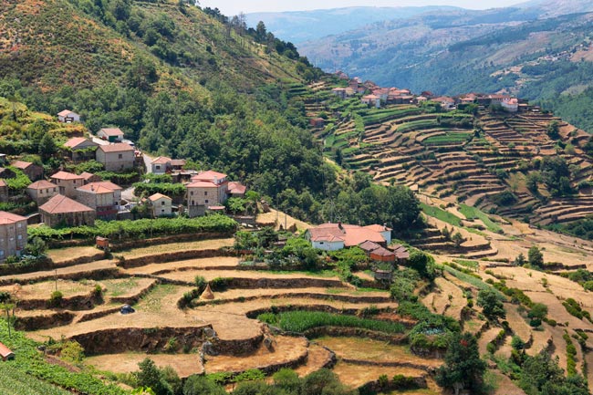 A história fantástica da ‘terra onde Portugal se fez’ terra onde Portugal se fez