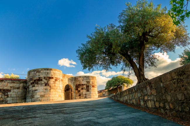 A maldição do último Rei dos Visigodos no Centro de Portugal último Rei dos Visigodos