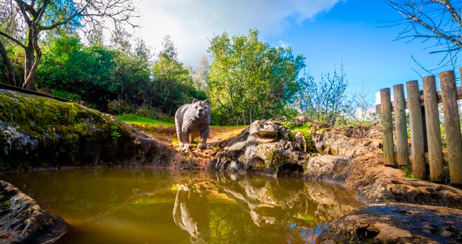 A pequena cidade que recebeu 9 milhões de pessoas num ano em Portugal pequena cidade