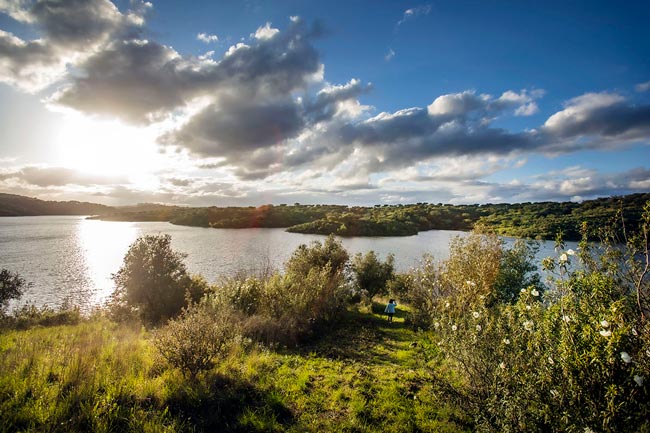 Avis: a vila no Alentejo que deu nome a uma dinastia portuguesa dinastia portuguesa