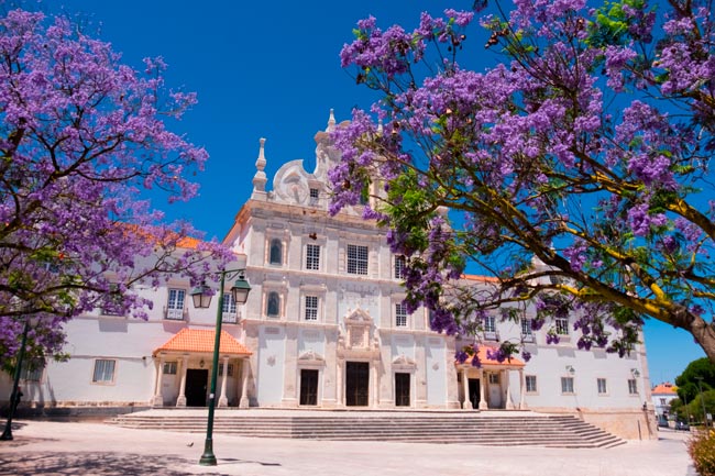 D. Afonso Henriques fez o impossível e conquistou Santarém aos Mouros conquistou Santarém aos Mouros