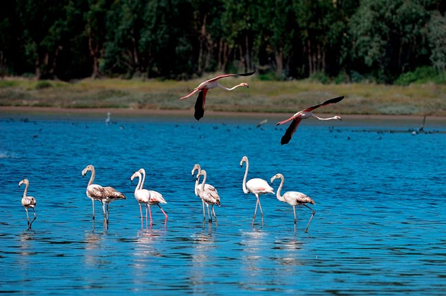 Lagoa de Óbidos: é a maior lagoa de água salgada e fica no Centro de Portugal maior lagoa de água salgada