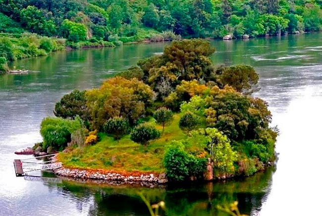 Ilha dos Amores: a ilha paradisíaca do rio Douro ilha paradisíaca do rio Douro